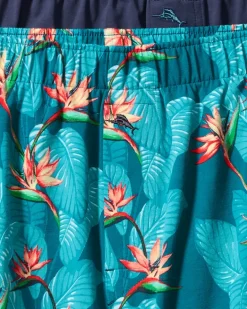 Big & Tall Tropical Print & Solid Knit Boxers—2-Pack