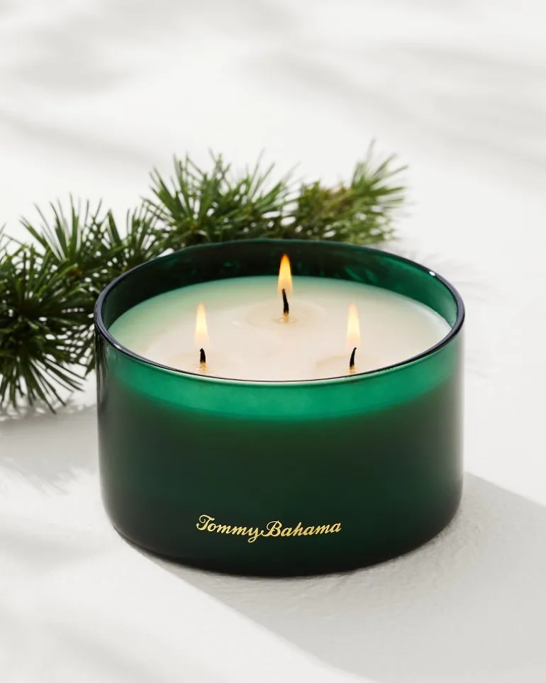 Evergreen 14.5-oz. Boxed 3-Wick Candle
