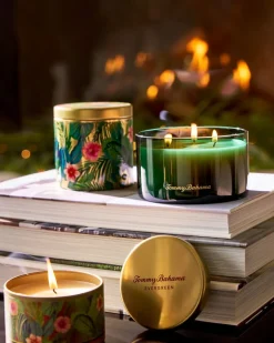 Evergreen 14.5-oz. Boxed 3-Wick Candle