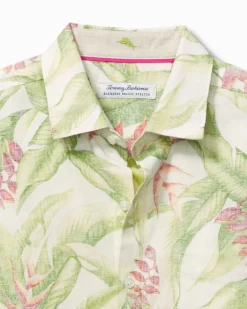 Men's Barbados Breeze Calypso Fronds Shirt