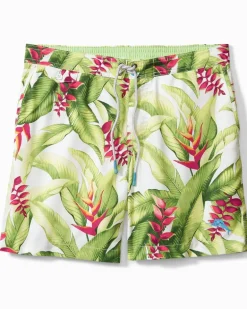Men's Calypso Fronds 6-Inch Board Shorts