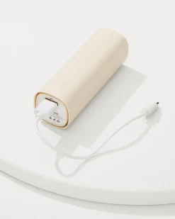 Portable Fan & Power Bank